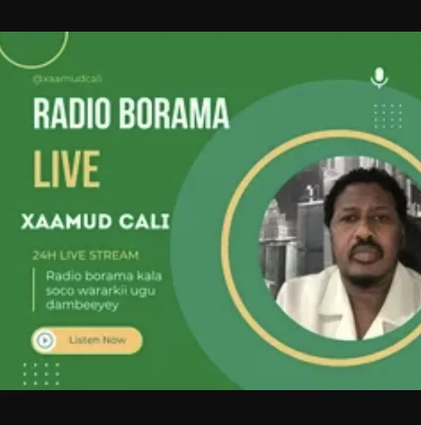 Radio Borama logo