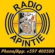 Radio Apintie logo