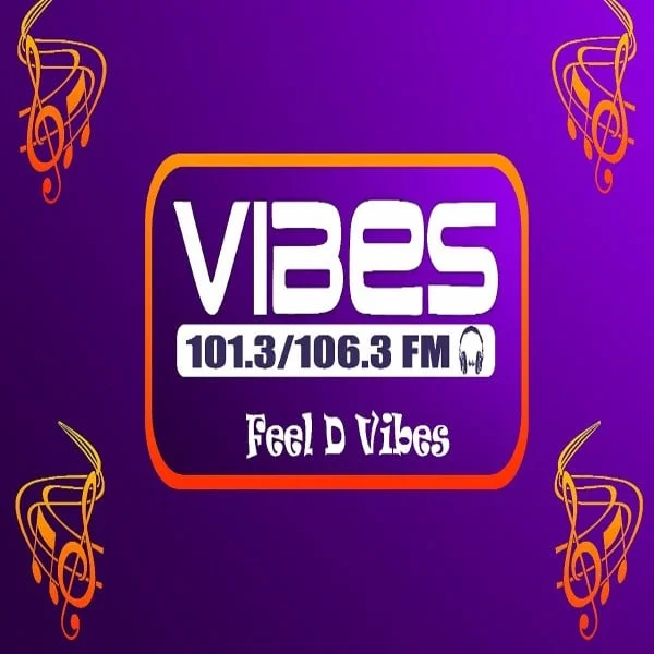 Vibez Live Johannesburg logo