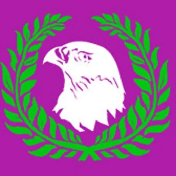 Falcon Radio الصقر أونلاين راديو logo