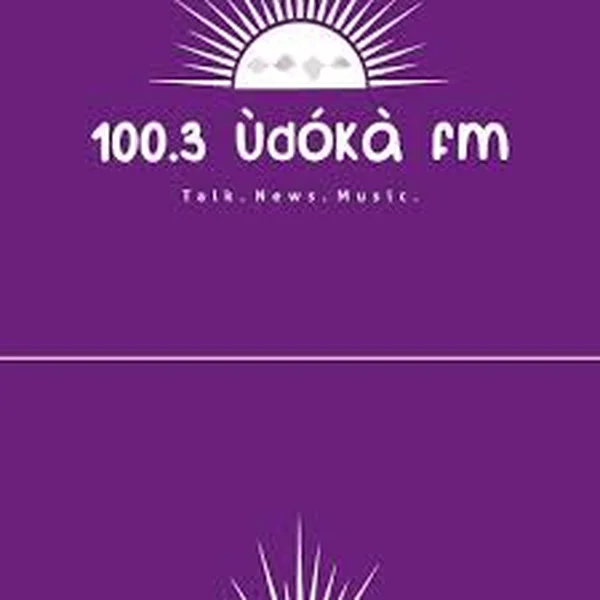 Udoka 100.3 FM Enugu logo