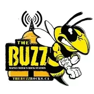 The Buzz Moose Jaw logo