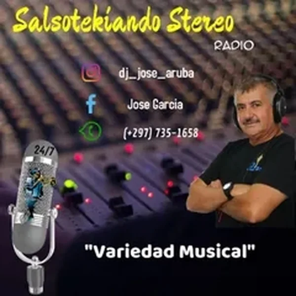 Salsotekaindo logo