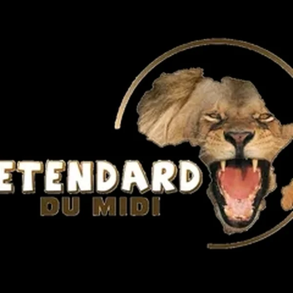 Radio Etendard du Midi logo