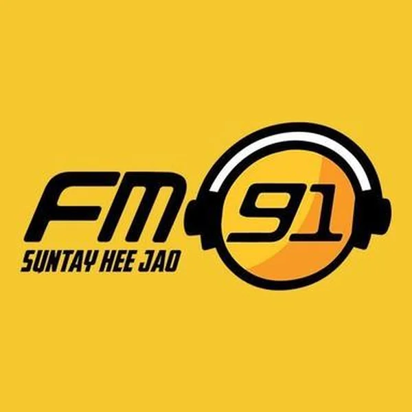 FM91 Pakistan logo