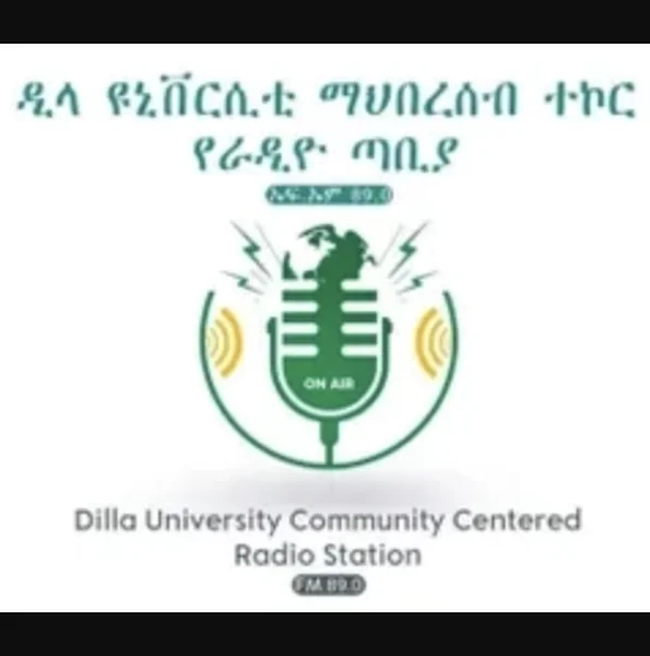 DUE va SUE logo