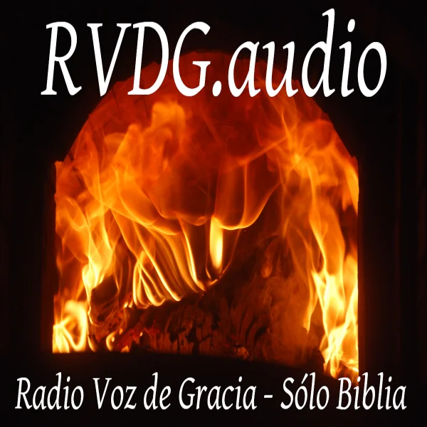 Radio Voz de Gracia PR Toa Baja logo