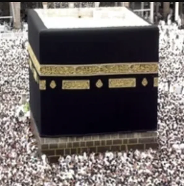 La Voie de l'Islam logo