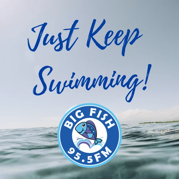 Big Fish 95.5 FM Cayman logo