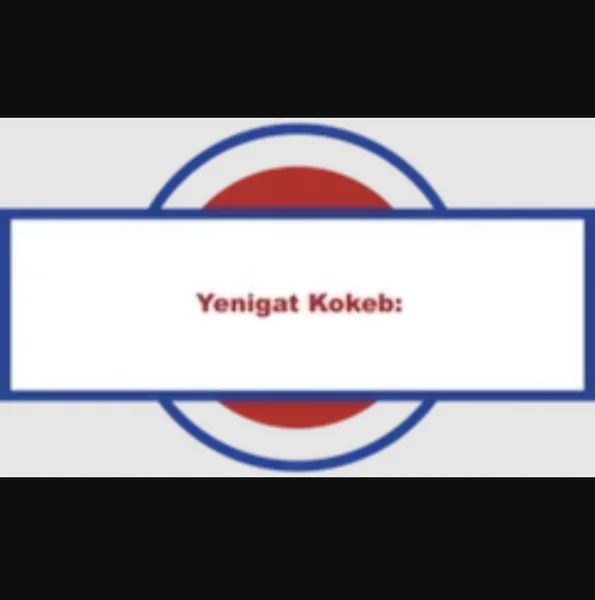 Yenigat Kokeb logo