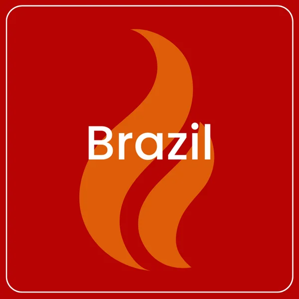 Tinder - Brazil logo