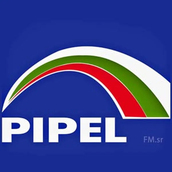 Pipel 94.1 FM logo