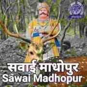 AIR Sawai Madhopur FM 101.5 logo