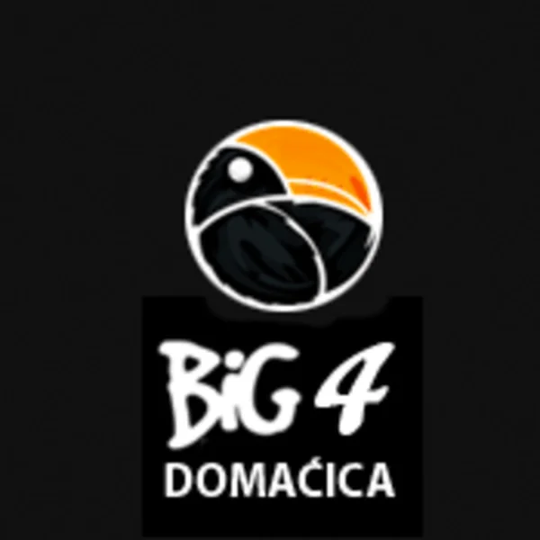 Big Radio 4 logo