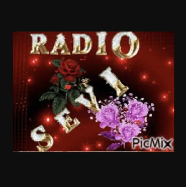 Sevi Radio logo