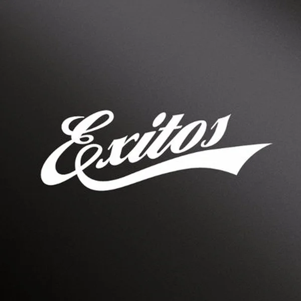 Exitos 99.9 FM Caracas logo