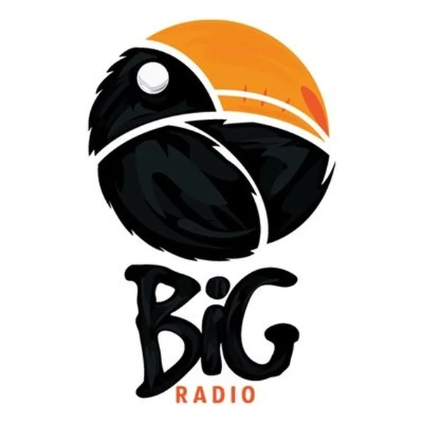 Big Radio - Folk logo
