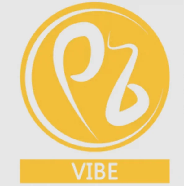Yene Vibe Radio logo