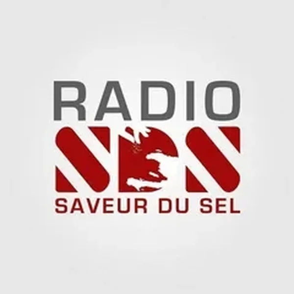 Radio Saveur du Sel 95.1 Les Cayes logo