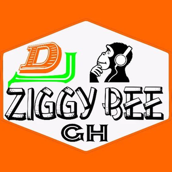 Dj Ziggy Bee GH logo