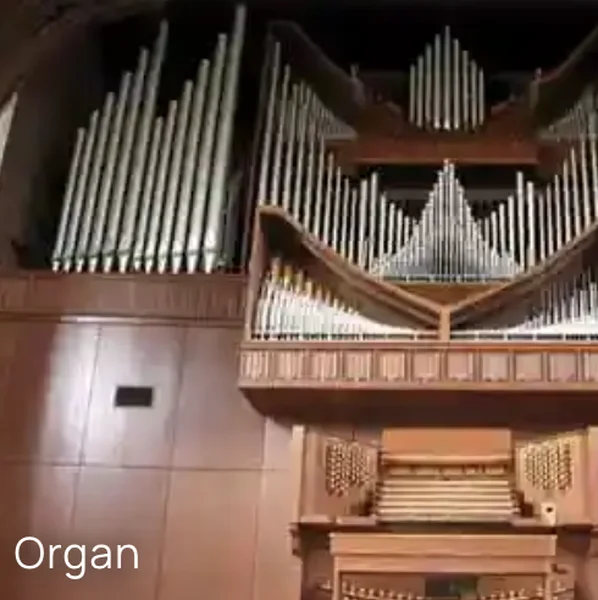 Radio Art - Organ logo