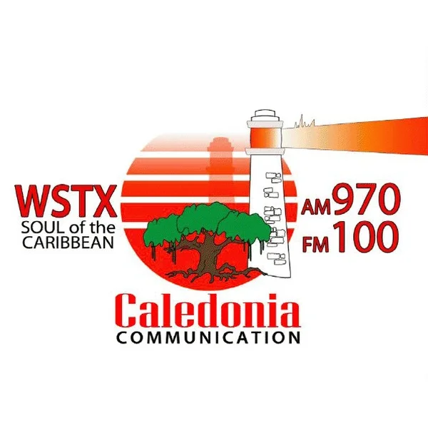 WSTX FM 100.3 Christiansted logo