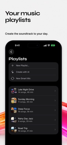 iPhone App Store artwork showing Prismatic Music playlists